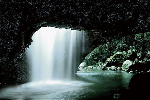 Natural Bridge Glow Worm Night Tour From Gold Coast - Northern Rivers Accommodation 0