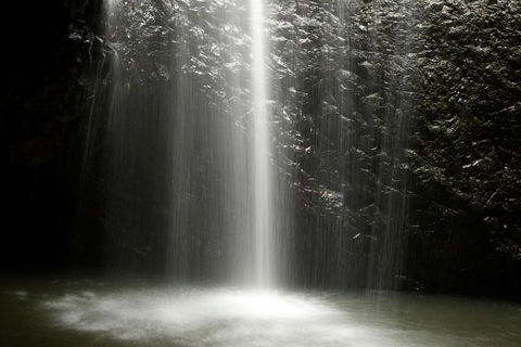 Natural Bridge Glow Worm Night Tour From Gold Coast - Northern Rivers Accommodation 2