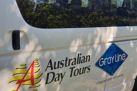 Natural Bridge Glow Worm Night Tour From Gold Coast - Northern Rivers Accommodation 5