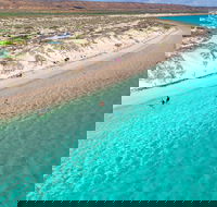 Ningaloo in a Day - Full Day Hike and Snorkel Tour with Lunch - Northern Rivers Accommodation
