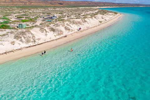 Ningaloo In A Day - Full Day Hike And Snorkel Tour With Lunch - Northern Rivers Accommodation 0
