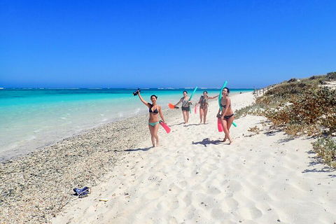 Ningaloo In A Day - Full Day Hike And Snorkel Tour With Lunch - Northern Rivers Accommodation 1