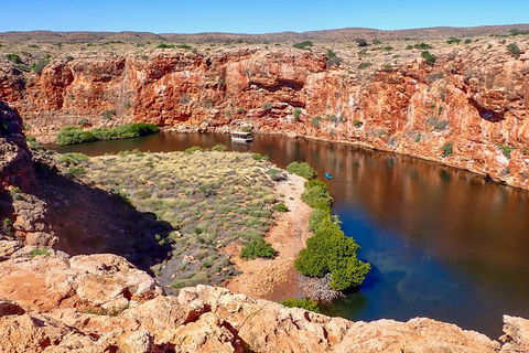 Ningaloo In A Day - Full Day Hike And Snorkel Tour With Lunch - Northern Rivers Accommodation 2