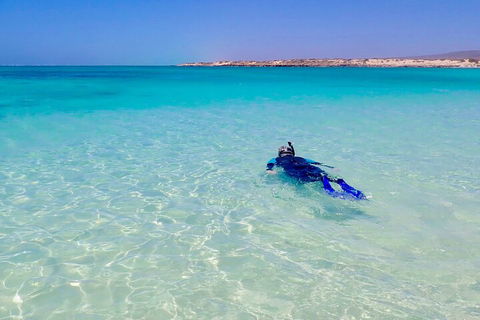 Ningaloo In A Day - Full Day Hike And Snorkel Tour With Lunch - Northern Rivers Accommodation 4