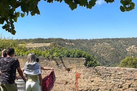Private Mclaren Vale Wine Tour - Northern Rivers Accommodation 2