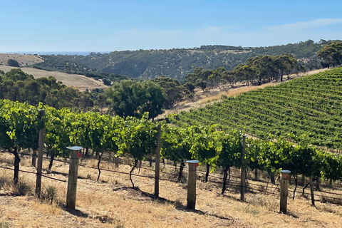 Private Mclaren Vale Wine Tour - Northern Rivers Accommodation 3