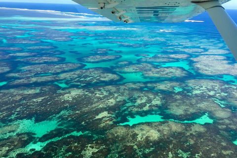 Shipwreck Special Full Day Tour Of The Abrolhos Islands - Northern Rivers Accommodation 1