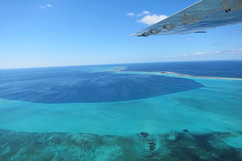 Shipwreck Special Full Day Tour Of The Abrolhos Islands - Northern Rivers Accommodation 2