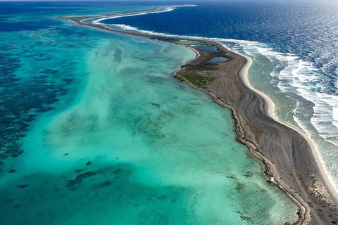Shipwreck Special Full Day Tour Of The Abrolhos Islands - Northern Rivers Accommodation 3