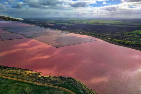 Kalbarri, Pink Lake And Abrolhos Islands Nature Tour - Northern Rivers Accommodation 1