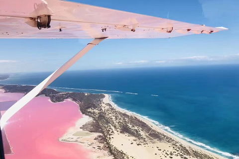 Kalbarri, Pink Lake And Abrolhos Islands Nature Tour - Northern Rivers Accommodation 4