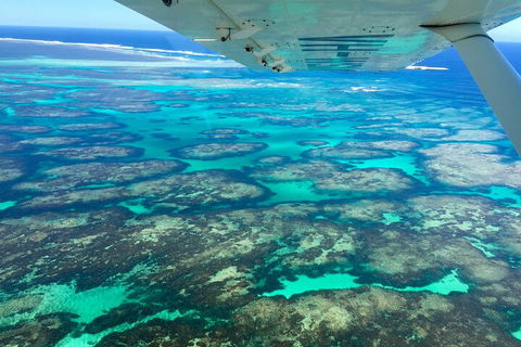 Kalbarri, Pink Lake And Abrolhos Islands Nature Tour - Northern Rivers Accommodation 5