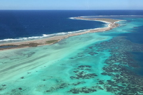 Pink Lake + Abrolhos Islands Nature Tour - Northern Rivers Accommodation 2