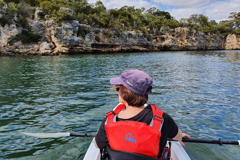 Cliffs And Caves Kayak Tour In Swan River - Northern Rivers Accommodation 0