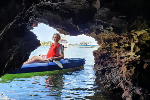 Cliffs And Caves Kayak Tour In Swan River - Northern Rivers Accommodation 1