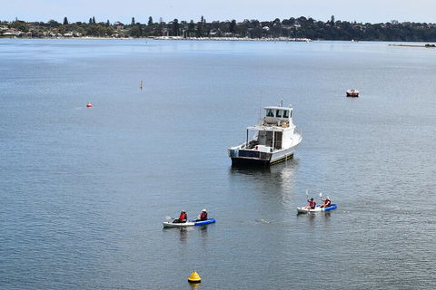 Cliffs And Caves Kayak Tour In Swan River - Northern Rivers Accommodation 2