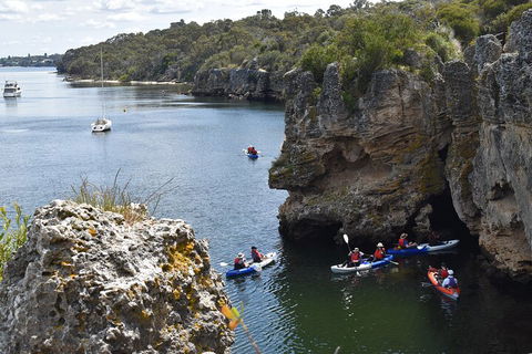 Cliffs And Caves Kayak Tour In Swan River - Northern Rivers Accommodation 5