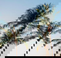 Darwin City Sightseeing Tour - Northern Rivers Accommodation