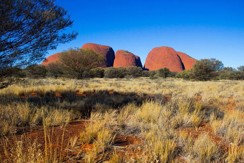 Kata Tjuta Sunrise And Valley Of The Winds Half-Day Trip - Northern Rivers Accommodation 1