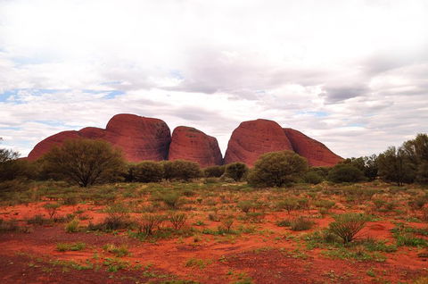 Ayers Rock Combo: Uluru Base And Sunset Plus Uluru Sunrise And Kata Tjuta With An Optional BBQ Dinner Or Kings Canyon Day Trip - Northern Rivers Accommodation 1