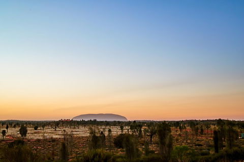 Uluru (Ayers Rock) Field Of Light Sunrise Tour - Northern Rivers Accommodation 0