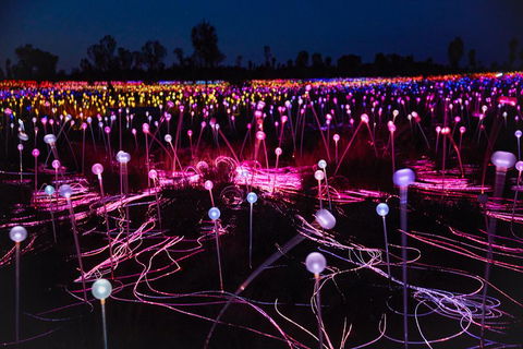 Uluru (Ayers Rock) Field Of Light Sunrise Tour - Northern Rivers Accommodation 1