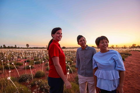 Uluru (Ayers Rock) Field Of Light Sunrise Tour - Northern Rivers Accommodation 2