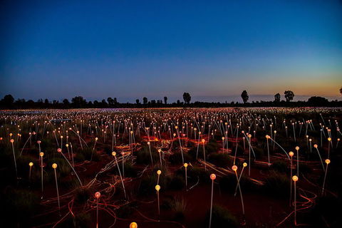 Uluru (Ayers Rock) Field Of Light Sunrise Tour - Northern Rivers Accommodation 4