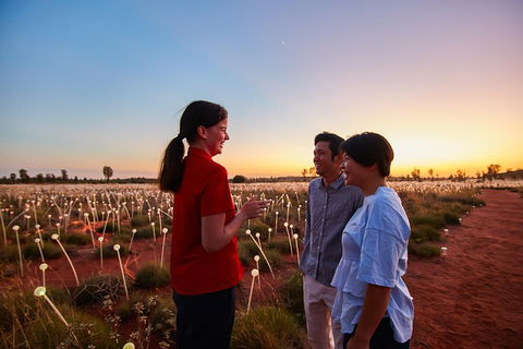 Uluru (Ayers Rock) Field Of Light Sunrise Tour - Northern Rivers Accommodation 5