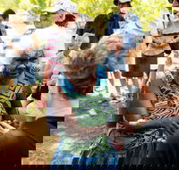 Tiwi Islands Cultural Experience from Darwin Including Ferry - Northern Rivers Accommodation