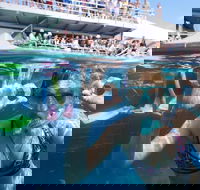 Great Barrier Reef Day Cruise from Cairns Including Snorkeling and Marine Biologist Presentation - Northern Rivers Accommodation