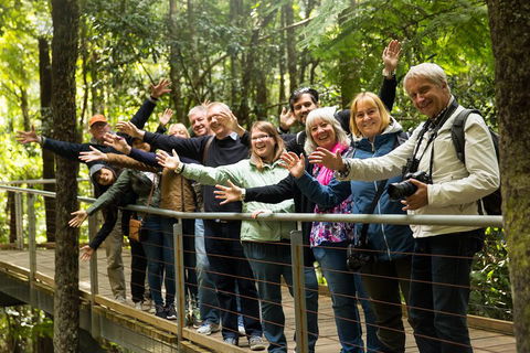 All Inclusive Blue Mountains Small-Group Day Trip From Sydney - Northern Rivers Accommodation 5