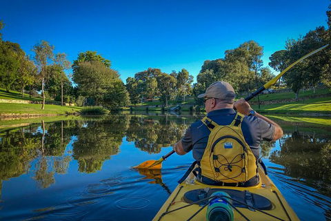 Adelaide City Kayak Tour - Northern Rivers Accommodation 5
