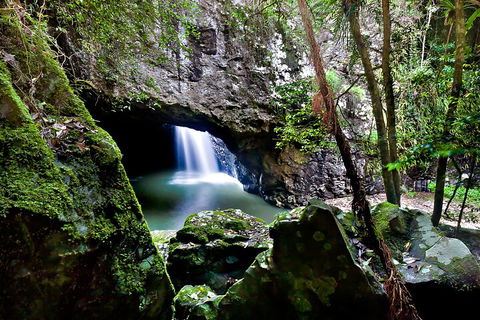 Natural Bridge & Springbrook Waterfalls Tour + Hot Air Balloon With Breakfast - Northern Rivers Accommodation 4