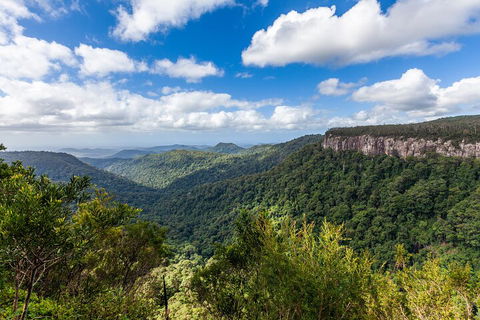 Natural Bridge & Springbrook Waterfalls Tour - Northern Rivers Accommodation 1