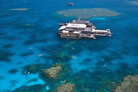 Quicksilver Outer Great Barrier Reef Snorkel Cruise From Palm Cove - Northern Rivers Accommodation 1