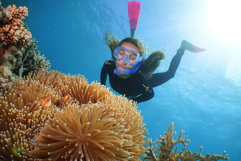 Quicksilver Outer Great Barrier Reef Snorkel Cruise From Palm Cove - Northern Rivers Accommodation 2