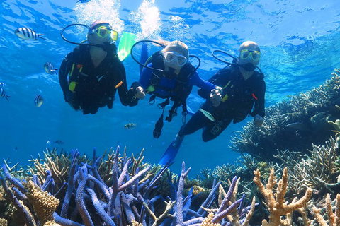 Quicksilver Outer Great Barrier Reef Snorkel Cruise From Palm Cove - Northern Rivers Accommodation 3