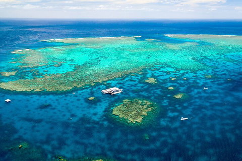 Quicksilver Outer Great Barrier Reef Snorkel Cruise From Palm Cove - Northern Rivers Accommodation 4