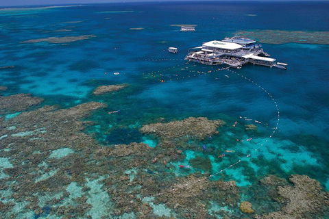 Quicksilver Outer Great Barrier Reef Snorkel Cruise From Port Douglas - Northern Rivers Accommodation 3