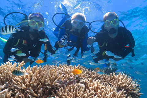 Quicksilver Outer Great Barrier Reef Snorkel Cruise From Port Douglas - Northern Rivers Accommodation 4