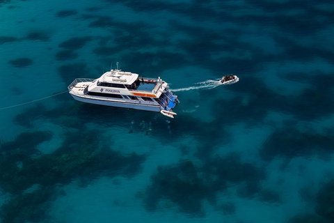 Quicksilver Dive 4 Day PADI Learn To Dive Course - Northern Rivers Accommodation 1