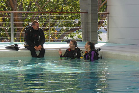 Quicksilver Dive 4 Day PADI Learn To Dive Course - Northern Rivers Accommodation 3
