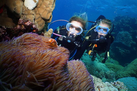 Quicksilver Dive 4 Day PADI Learn To Dive Course - Northern Rivers Accommodation 4