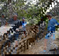Fully guided E-Mountain Bike Tour on the beautiful Mornington Peninsula. - Northern Rivers Accommodation
