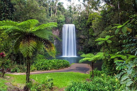Cairns & Port Douglas All-Inclusive 7 Days Touring Package - Northern Rivers Accommodation 2