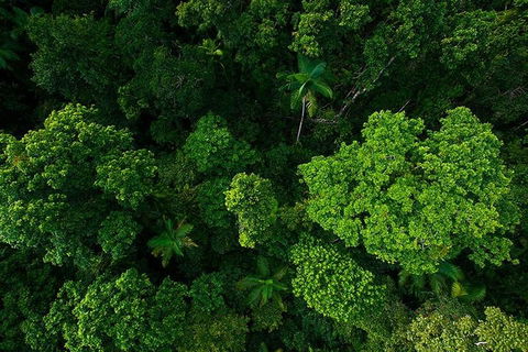 Cairns & Port Douglas All-Inclusive 7 Days Touring Package - Northern Rivers Accommodation 4