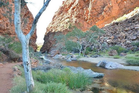 Alice Springs, Uluru Ayers Rock & Kings Canyon 8 Days Touring Package - Northern Rivers Accommodation 2