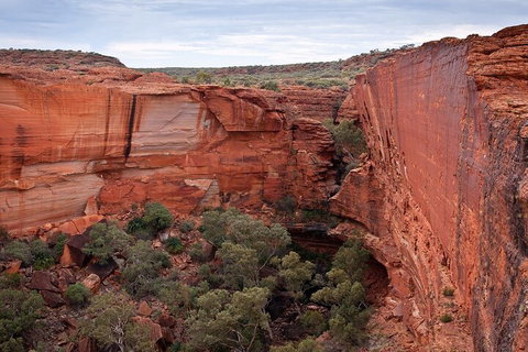 Uluru, Kata Tjuta And Kings Canyon Camping Safari From Ayers Rock - Northern Rivers Accommodation 1