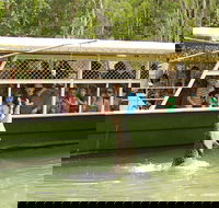 Hartley's Crocodile Adventure Half-Day Tour - Northern Rivers Accommodation